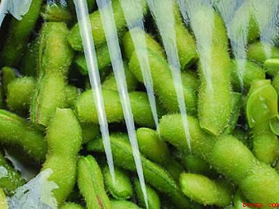 生毛豆冷藏可以放几天（生毛豆冷藏可以放3）