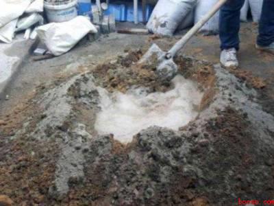 蚂蚁洞怎么消灭