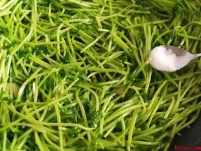 柳蒿芽怎么做好吃