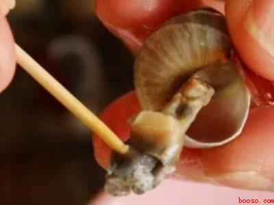 螺丝怎么吃到里面的肉