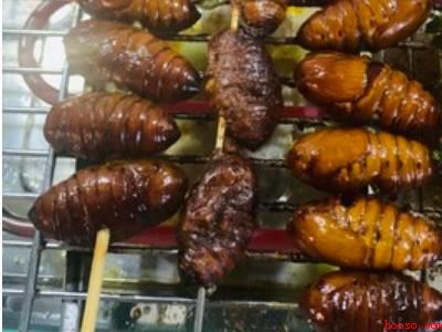 烤蚕蛹怎么吃