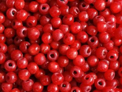 红豆杉泡酒的正确方法