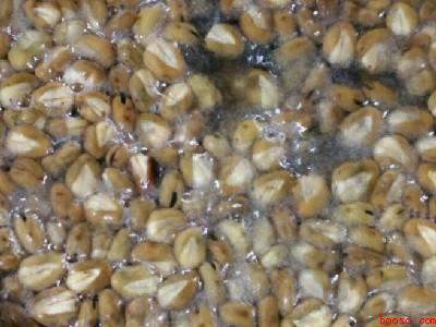 油炸蚕豆怎么做酥