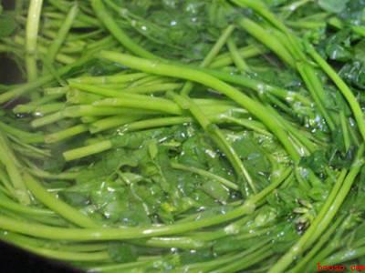 红花草怎么做好吃（红花草怎么做好吃共有5步）