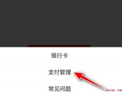 拼多多怎么关闭多多支付（演示机型:Iphone 12）