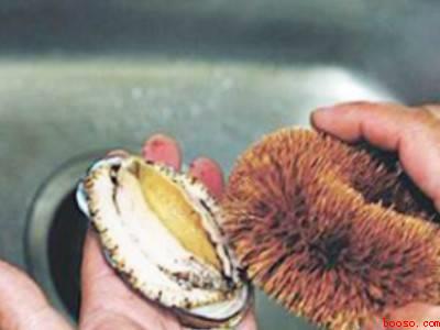 如何杀鲍鱼清洗鲍鱼