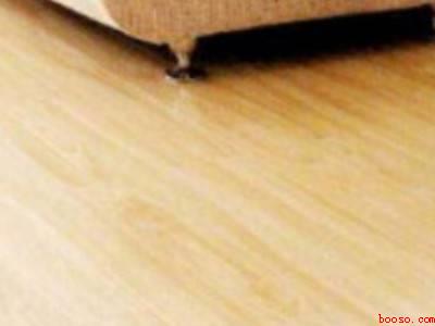 家里飞蛾怎么根除