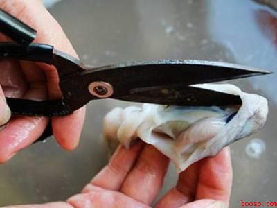 章鱼怎么清洗处理