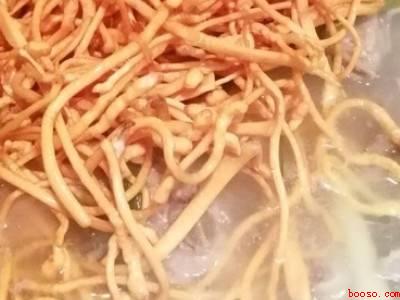 蛹虫草怎么炒菜