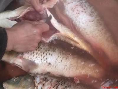 鱼下锅前怎么处理