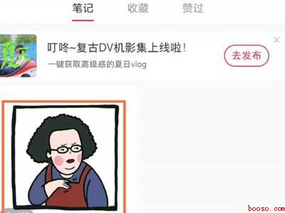 小红书如何置顶评论（演示机型:Iphone 13）