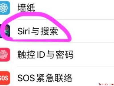 苹果手机智能语音叫啥
