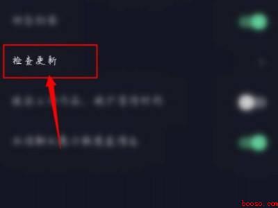 抖音里怎么没有检查更新功能（演示机型:Iphone 12）
