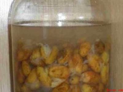 黄皮核怎么制作方法