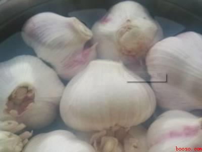 怎样腌醋蒜