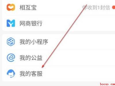 支付宝浏览记录怎么看（演示机型:Iphone 12）