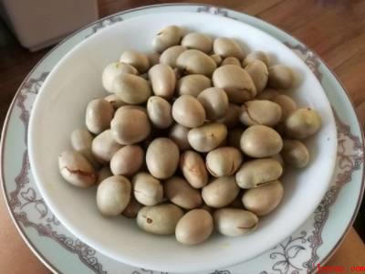 木菠萝籽怎么煮