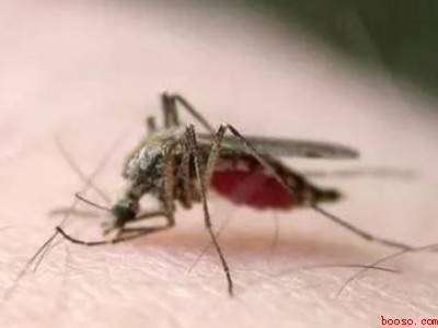 空调房怎么驱蚊子