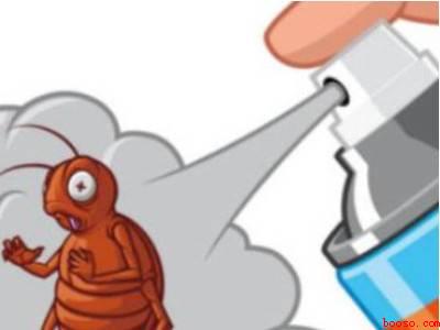 有蟑螂咋办啊快速解决