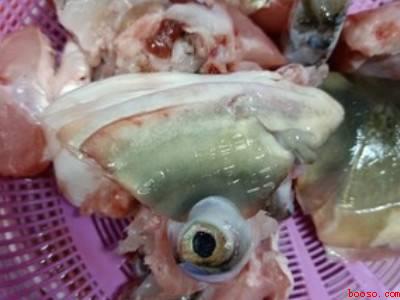 鱼头汤怎么做好喝又营养做法