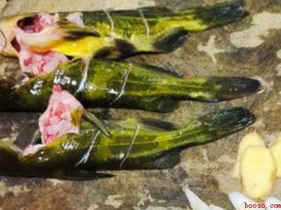 黄辣丁鱼汤怎么做好吃