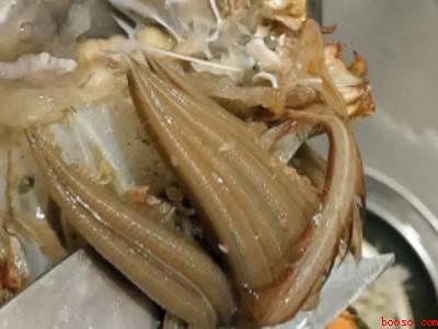 蟹怎么杀怎么清洗