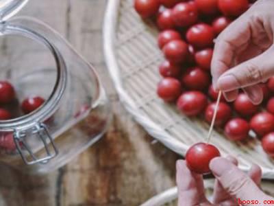 李子酿酒怎么酿