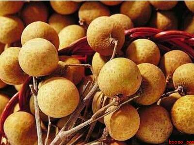 怎样晒龙眼干带壳的（怎样晒带壳的龙眼干共分为5个步骤）