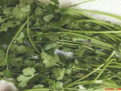 夏天香菜怎么放不会烂