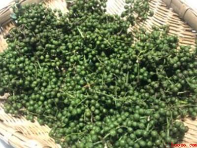 青花椒油的制作方法