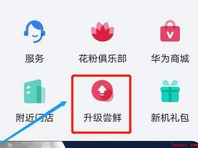 nova6怎么升级鸿蒙系统