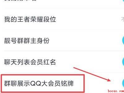 怎么关掉svip铭牌（演示机型:Iphone 12）