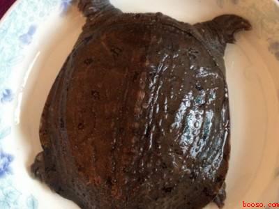 鳖怎么做汤好吃