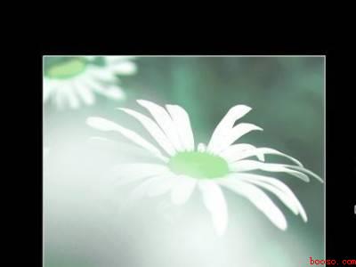 cad导入图片为什么不显示