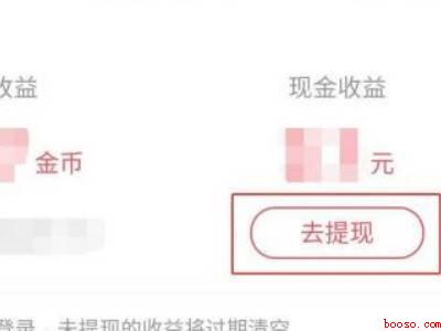 快手极速版提现在哪里（演示机型:Iphone 13）