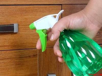 床上的虫子怎么去除