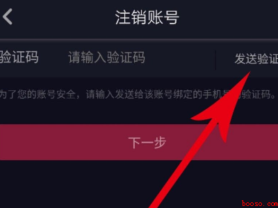 抖音号注销了别人看是什么样子的(演示机型:Iphone 13)