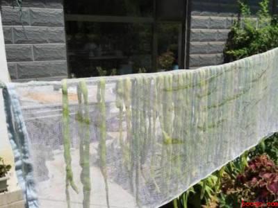 豆角吃不完怎么晒干