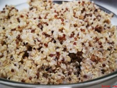 藜麦需要提前泡水吗