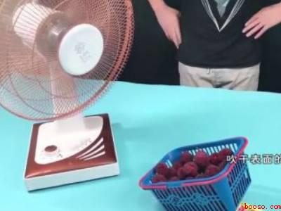 杨梅要放冰箱保存吗