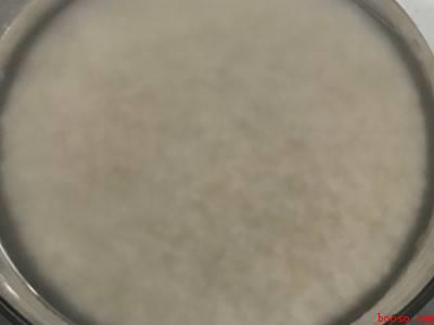 砂锅米饭怎么做