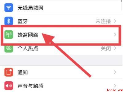 营运商网络怎样设置（演示机型:Iphone 12）