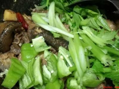 红烧土鸡怎么烧才好吃