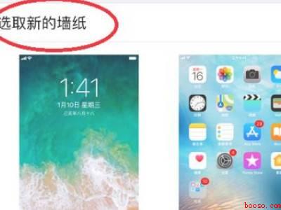 苹果手机设置壁纸