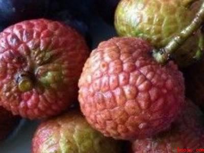 荔枝储存的正确方法