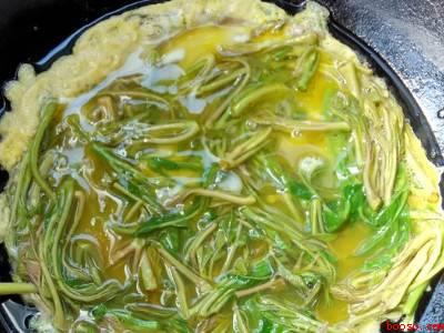 香椿芽怎么做才好吃