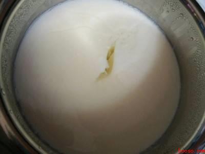 脱脂牛奶能做酸奶吗