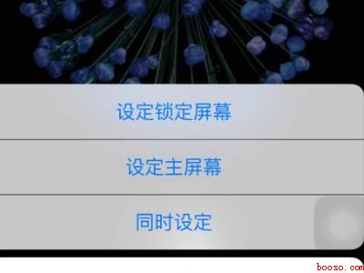 苹果的壁纸在哪里设置