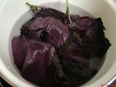 紫苏怎么保存一年