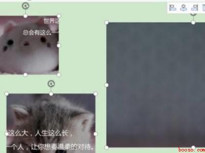 wps中word图片怎么统一调整大小